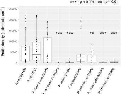 Biocontrol Traits Correlate With Resistance to Predation by Protists in Soil Pseudomonads